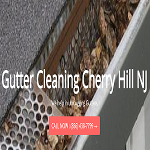 Gutter Cleaning Cherry Hill